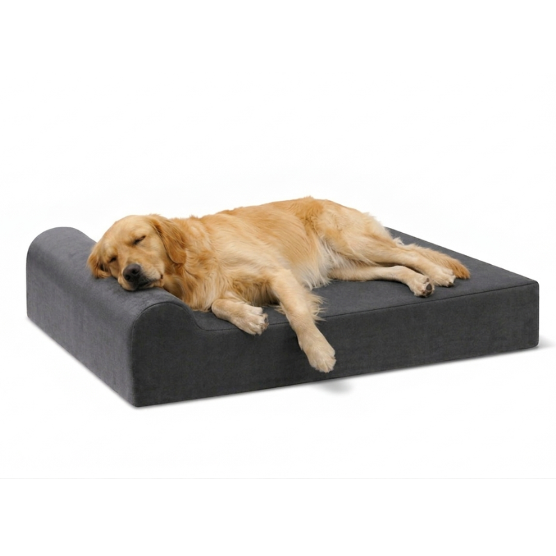 Orthopedic Bed